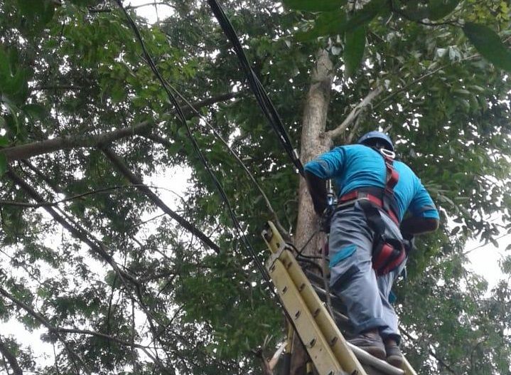 Petugas PLN Unit Ngadiluwih sedang memperbaiki kabel putus di Manisrenggo. (Foto: Noe/Tugu Jatim)