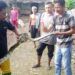 Warga Desa Sugiharjo, Kecamatan Tuban, Kabupaten Tuban saat menangkap ular piton kembang sepanjang dua meter di aliran irigasi, Jumat (12/2/2021). (Foto: Moch Abdurrochim/Tugu Jatim)