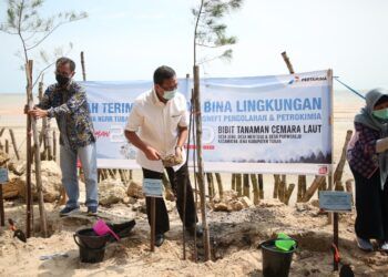 Bupati Tuban, Fathul Huda dan beberapa pejabat lainnya ketika menanam cemara laut. (Foto: Humas Pemkab Tuban)