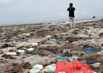 Sampah popok bayi dan plastik di pantai Tuban. (Foto: Mochamad Abdurrochim/Tugu Jatim) ecoton