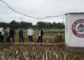 Foto 3 : Anggota DPRD Tuban Fahmi Fikroni, Bappeda Tuban, perguruan tinggi, bersama tim CSR Semen Indonesia monitoring irigasi pertaniam di Desa Sumberarum, Kecamatan Kerek. (Foto: Humas PT Semen Indonesia (Persero) Tbk (SIG) Pabrik Tuban) tugu jatim