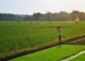 Ilustrasi petani. (Foto: Pixabay/Tugu Jatim)