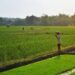 Ilustrasi petani. (Foto: Pixabay/Tugu Jatim)