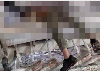 PMI asal Kalipare Meninggal karena Kecelakaan Kerja di Taiwan, Kadisnaker: Sedang Kami Selidiki 8 Buruh migran di Taiwan yang mengalami kecelakaan kerja. (Foto: Istimewa/Tugu Jatim)