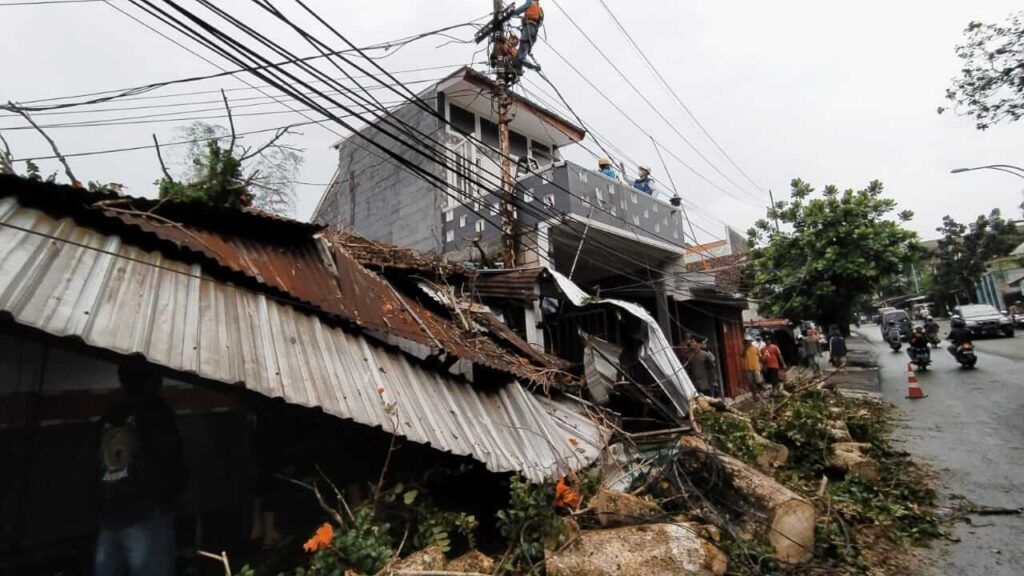 Pohon waru di daerah Mergan, Kota Malang, menimpa atap bengkel warga karena hujan deras dan angin kencang. (Foto: Azmy/Tugu Jatim)