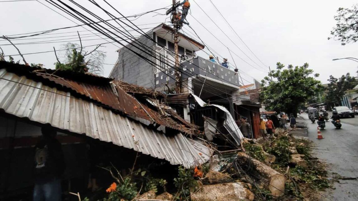 Menelan 1 Korban, Pohon Setinggi 15 Meter di Jembatan Mergan Malang Tumbang 1 Pohon waru di daerah Mergan, Kota Malang, menimpa atap bengkel warga karena hujan deras dan angin kencang. (Foto: Azmy/Tugu Jatim)
