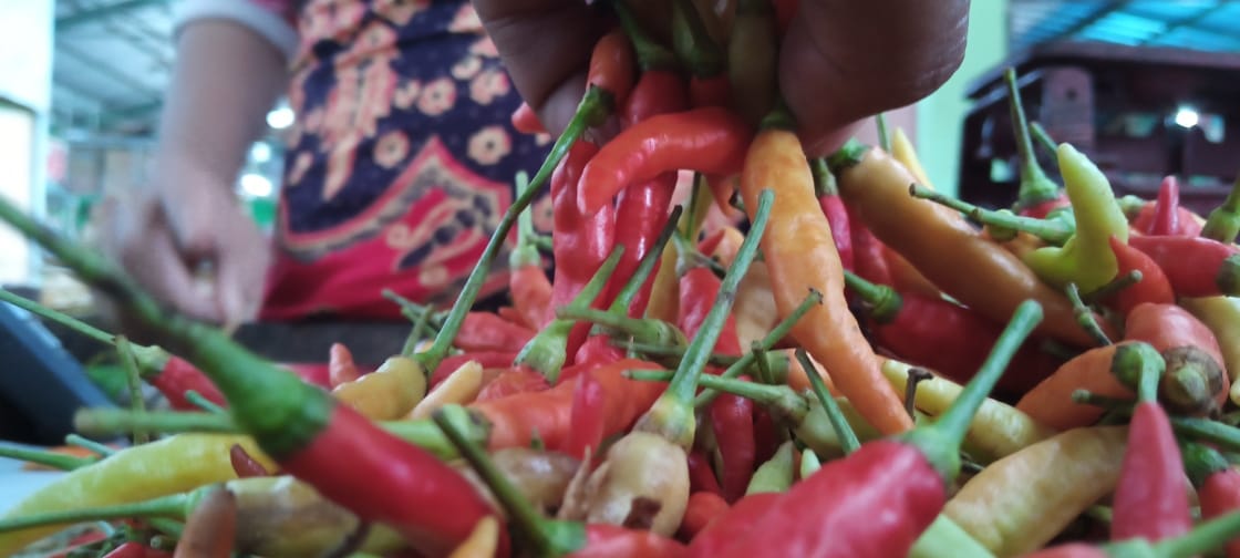 Harga Cabe Rawit di Tuban Makin Meroket 1 Pedagang yang sedang menjual cabe di Pasar Baru Tuban meski harganya makin meroket. (Foto: Rochim/Tugu Jatim)