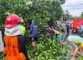 Ilustrasi beberapa dampak dari bencana angin puting beliung di Kabupaten Tuban pada akhir November 2019. (Foto: Rochim/Tugu Jatim)