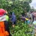 Peralihan Musim, Waspadai Bencana Angin Puting Beliung 9 Ilustrasi beberapa dampak dari bencana angin puting beliung di Kabupaten Tuban pada akhir November 2019. (Foto: Rochim/Tugu Jatim)