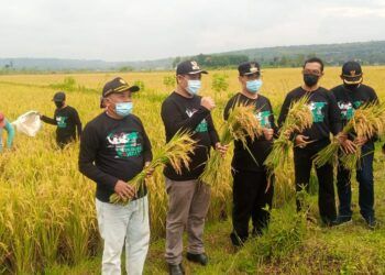 Panitia Lomba Panen Raya melakukan proses penilaian. (Foto: Rochim/Tugu Jatim)