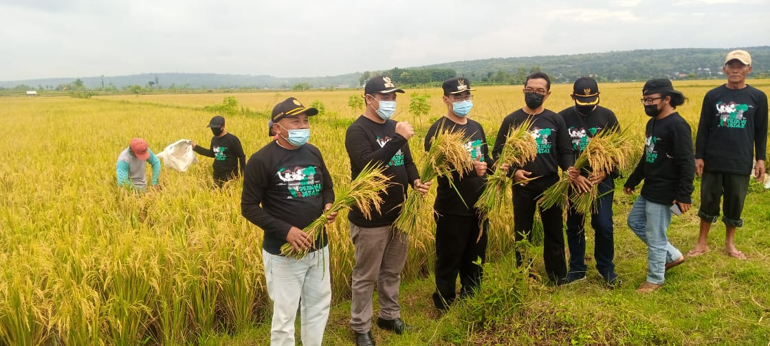 Panitia Lomba Panen Raya melakukan proses penilaian. (Foto: Rochim/Tugu Jatim)