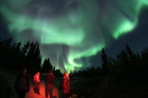 Aurora borealis yang muncul di Taman Nasional Wood Buffalo. (Foto: explorewoodbuffalo.ca/Tugu Jatim)