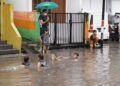 Anak-anak memanfaatkan banjir di kawasan Jalan Kedawung, Kota Malang untuk berenang gratis, Minggu (14/3/2021). (Foto : Azmy/Tugu Malang/Tugu Jatim)
