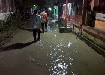 Luapan Sungai Soko menggenangi 120 rumah, jalan, area persawahan, dan jebolnya beberapa tanggul di Kecamatan Temayang dan Kecamatan Gondang Minggu (14/03/2021) malam. (Foto: BPBD Bojonegoro) tugu jatim banjir bojonegoro maret