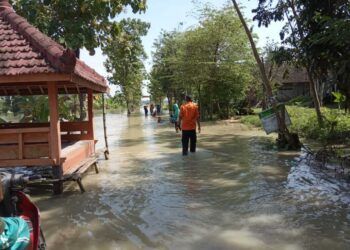 Banjir luapan Sungai Ganggang yang berada di wilayah Desa Jumput, Kecamatan Sukosewu, Kabupaten Bojonegoro (Foto : BPBD Bojonegoro)