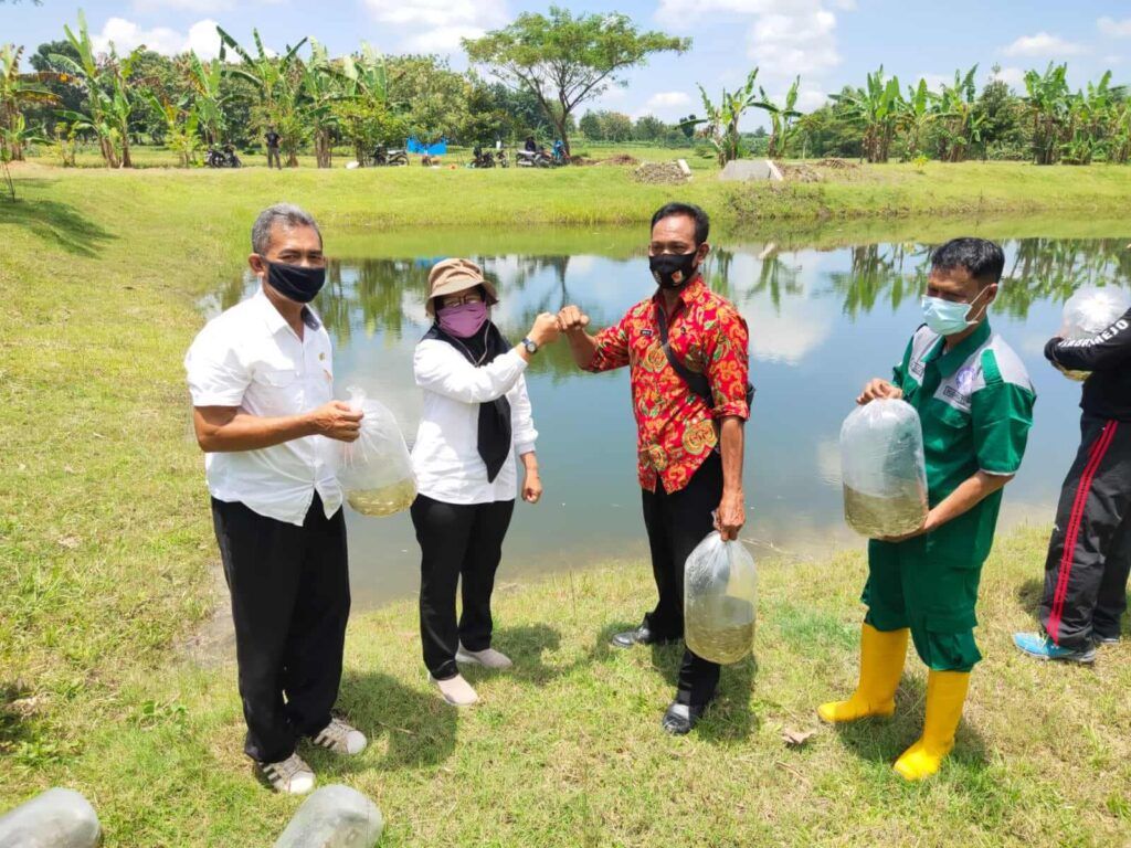 Disnakkan Bojonegoro memberikan seribu bibit ikan di Desa Jatimulyo, Kecamatan Tambakrejo, Kabupaten Bojonegoro agar kelestarian ikan di tempat tersebut tetap terjaga. (Foto: Dokumen)