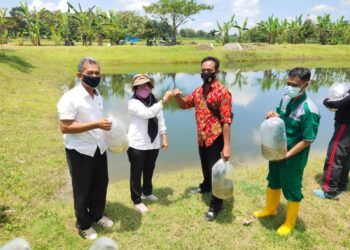 Disnakkan Bojonegoro memberikan seribu bibit ikan di Desa Jatimulyo, Kecamatan Tambakrejo, Kabupaten Bojonegoro agar kelestarian ikan di tempat tersebut tetap terjaga. (Foto: Dokumen)