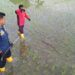 Proses evakuasi anakan buaya di area persawahan di Desa Jono, Kecamatan Temayang, Kabupaten Bojonegoro, Rabu (23/3/2021). (Foto: Dokumen/Damkar Bojonegoro) penemuan buaya