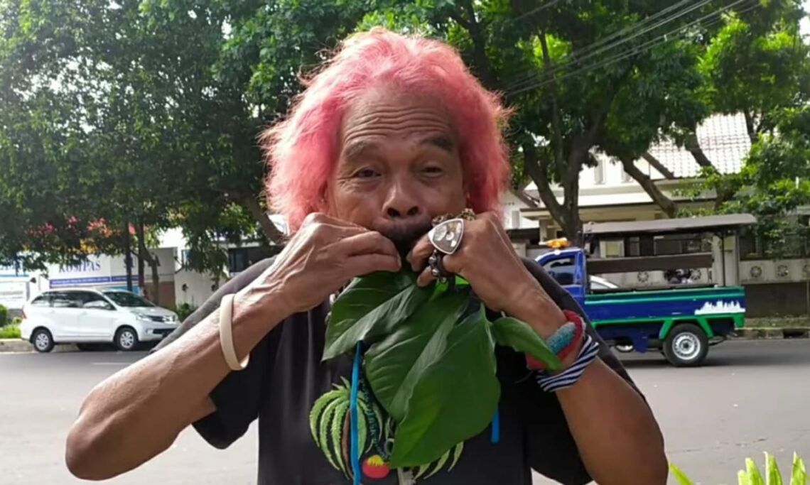 Cak Kandar, seniman musik daun eksentrik asal Kota Malang. (Foto : Darmadi Sasongko Youtube Channel)