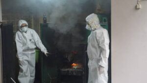 Cegah Flu Burung, BBKP Surabaya Musnahkan Ratusan Burung Asal Ende