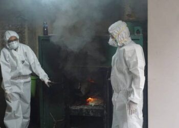 Petugas BBKP Surabaya menusnahkan ratusan burung asal Ende, Flores, Nusa Tenggara Timur untuk cegah penyebaran virus flu burung atau avian influenza, Selasa (30/3/2021). (Foto: BBKP Surabaya)
