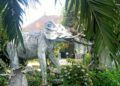 Patung Gajah Bolong di Desa Mongkrong, Kecamatan Baureno, Kabupaten Bojonegoro (Foto : Mila Arinda/Tugu Jatim)