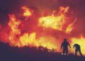 Ilustrasi kebakaran hutan dan lahan (karhutla) pada puncak musim kemarau yang diprediksi BMKG akan dimulai April 2021 dan mencapai puncak pada Agustus 2021. (Foto: Pixabay)