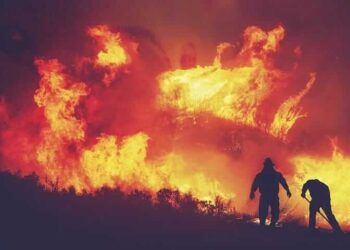 Ilustrasi kebakaran hutan dan lahan (karhutla) pada puncak musim kemarau yang diprediksi BMKG akan dimulai April 2021 dan mencapai puncak pada Agustus 2021. (Foto: Pixabay)