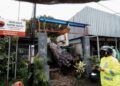 Pohon kenari setinggi sekitar 12 meter di Jalan Thamrin Gang 3, dekat kantor sekretariat PDI-P Ranting Klojen Kota Malang tumbang menimpa sebuah rumah, Minggu (14/3/2021). (Foto : Azmy/Tugu Malang/Tugu Jatim)