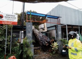 Pohon kenari setinggi sekitar 12 meter di Jalan Thamrin Gang 3, dekat kantor sekretariat PDI-P Ranting Klojen Kota Malang tumbang menimpa sebuah rumah, Minggu (14/3/2021). (Foto : Azmy/Tugu Malang/Tugu Jatim)