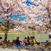 3 Rekomendasi Destinasi Wisata yang Cocok untuk Travelling di Bulan April 9 Ilustrasi destinasi wisata di bulan April. (Foto: loveturist.ru/Tugu Jatim)