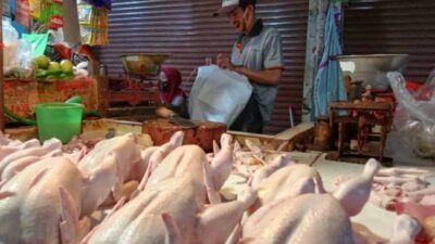 Pedagang ayam di Pasar Besar Kota Batu. Saat ini, harga daging ayam potong di Pasar Besar Kota Batu mencapai Rp 40 ribu per kilogram. (Foto: M Sholeh/Tugu Malang/Tugu Jatim)