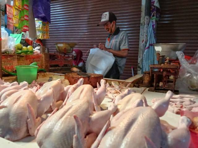 Pedagang ayam di Pasar Besar Kota Batu. Saat ini, harga daging ayam potong di Pasar Besar Kota Batu mencapai Rp 40 ribu per kilogram. (Foto: M Sholeh/Tugu Malang/Tugu Jatim)