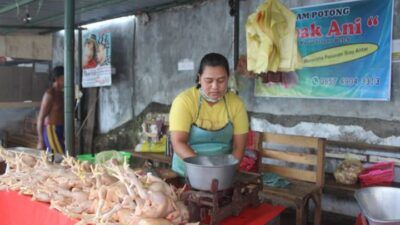 Penjual daging ayam potong di Kota Kediri. (Foto: Rino Hayyu/Tugu Jatim)