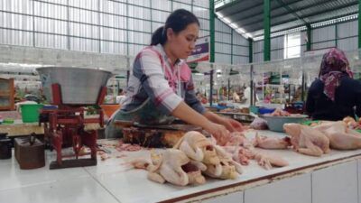 Ilustrasi pedagang daging ayam di pasar. (Foto: Azmy/Tugu Jatim)