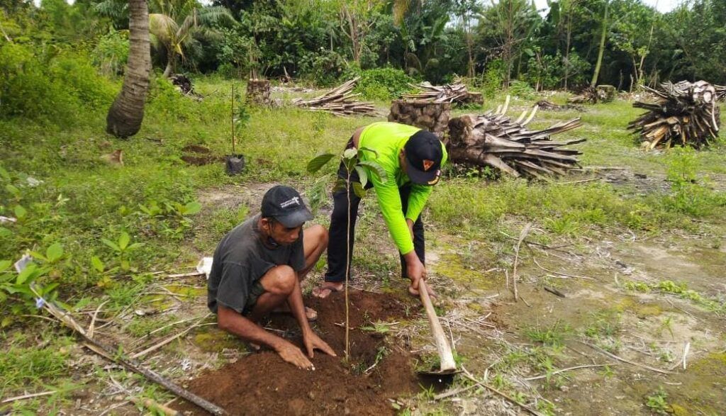 Warga Desa Tumpakrejo mencabut tanaman sawit dan menggantinya dengan tanaman buah. (Foto:Rap/Tugu Jatim)