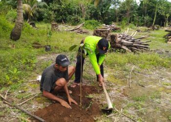 Protes Pengalakkan Sawit, Warga Malang Jebol Tanaman Sawit dan Tanam Buah-buahan 9 Warga Desa Tumpakrejo mencabut tanaman sawit dan menggantinya dengan tanaman buah. (Foto:Rap/Tugu Jatim)