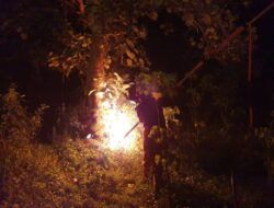 Petugas memusnahkan sarang tawon endas dengan cara dibakar. (Foto: Humas BPBD Tuban/Tugu Jatim)