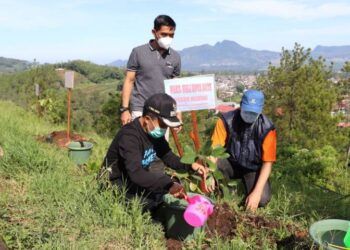 Wakil Wali Kota Batu, Punjul Santoso menanam bibit pohon (Foto: Diskominfo Kota Batu)