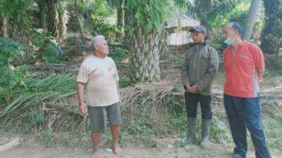 Daripada Sawit, Ini Tanaman yang Cocok di Malang Selatan Menurut Dosen UB