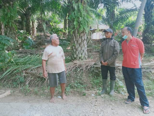 Dosen UB Luchman Hakim saat berbicara langsung dengan petani sawit bernama Sunjoto di Desa Tumpakrejo, Kabupaten Malang.(Foto: Rap/Tugu Jatim)