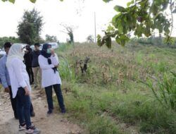 Persiapan KBSB, Bupati Bojonegoro Lakukan Pengecekan di Dusun Bunten
