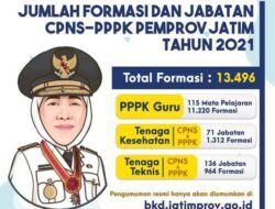 Rincian Jabatan dan Formasi CPNS-PPPK Tahun 2021 Provinsi Jawa Timur