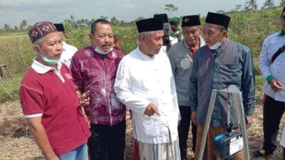 Ketua PWNU Jatim, KH Marzuki Mustamar saat mengunjungi hasil panen padi di Kecamatan Turen beberapa waktu lalu. (Foto: PWNU Jatim)