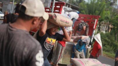 Para relawan ikut membantu menurunkan bantuan berupa semen untuk korban gempa Malang di Posko Kalibakar, Tirtoyudo, Malang, Selasa (25/5/2021) siang. (Foto: Dokumen/Tugu Jatim)