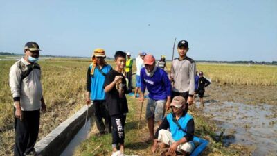 Kompetisi tangkap tikus di Bojonegoro. (Foto: Dinas Pertanian Bojonegoro/Tugu Jatim)