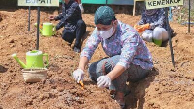 Bupati Trenggalek, Mochamad Nur Arifin ketika melakukan kunjungan ke petani jahe merah di Kecamatan Pule, Kabupaten Trenggalek, Kamis (3/6/2021). (Foto: M Zamzuri/Tugu Jatim)