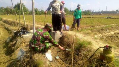 Proses gropyokan tikus yang dilakukan sejumlah petani di Desa Sumurjalak, Kabupaten Tuban bersama para personel TNI, Minggu (6/6/2021). Hal ini dilakukan sebagai upaya mengatasi hama tikus di persawahan. (Foto: Mochamad Abdurrochim/Tugu Jatim)