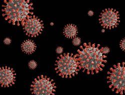 Waspada! Virus Covid-19 Varian Baru Lebih Berbahaya dari Delta