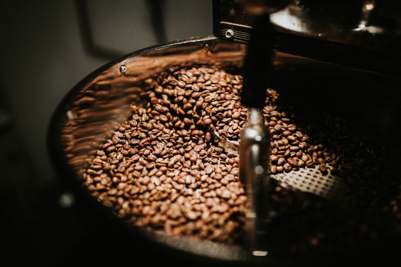 Biji kopi pilihan/ tugu jatim